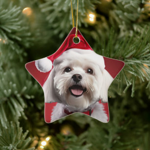 Unique Maltese Christmas, Gift For Dog Lovers Ceramic Ornament
