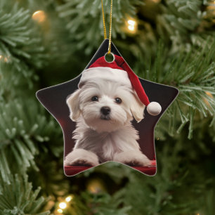 Unique Maltese Christmas, Gift For Dog Lovers Ceramic Ornament