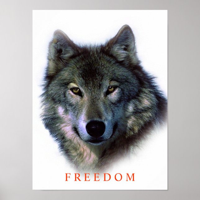 Unique Motivational Freedom Wolf Poster (Front)