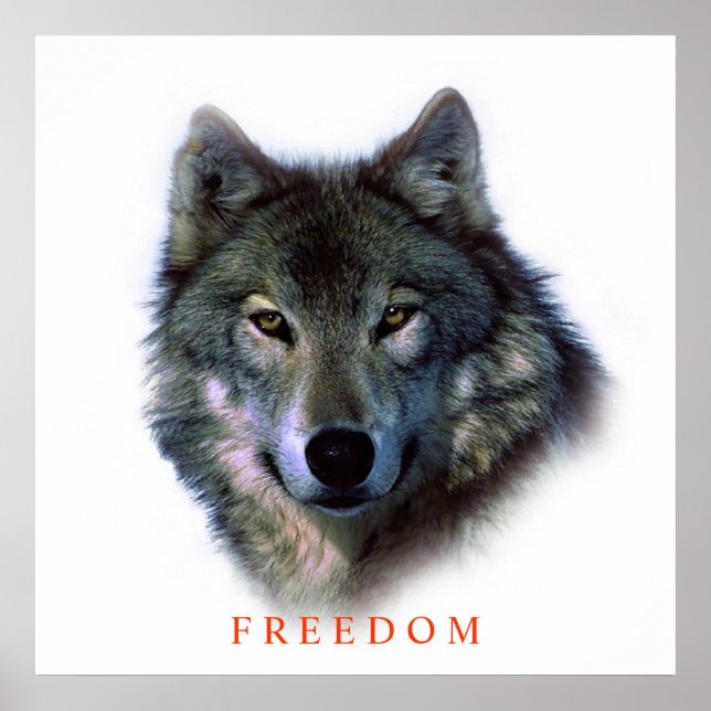 Unique Motivational Freedom Wolf Poster (Front)
