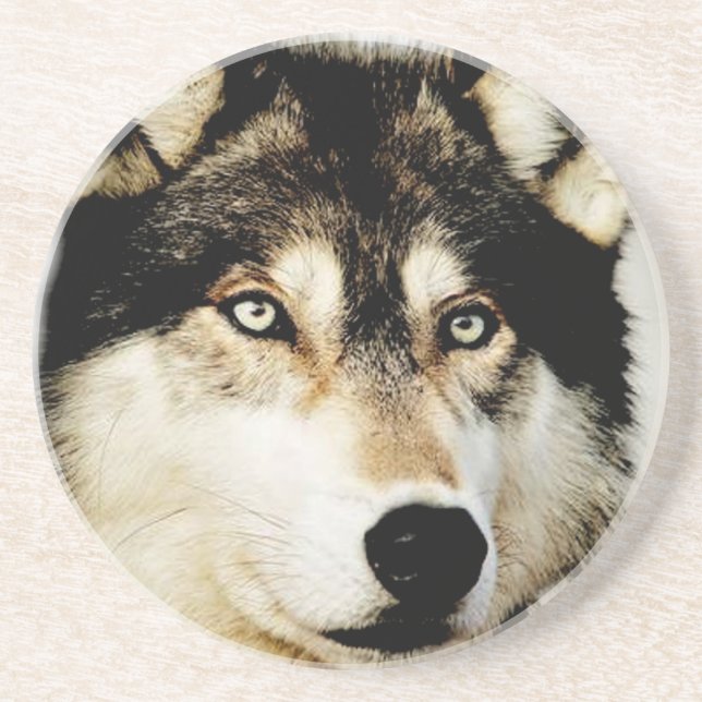 Unique Motivational Wolf Coaster (Front)