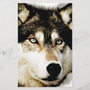Unique Motivational Wolf Stationery