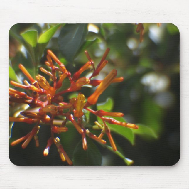 Unique Orange Plant on a Mousepad (Front)