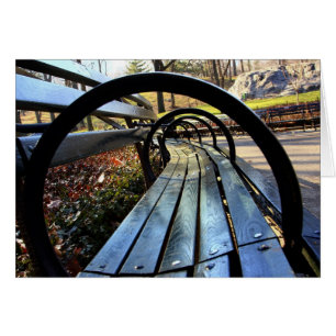 Unique Park Bench in Central Park, NYC