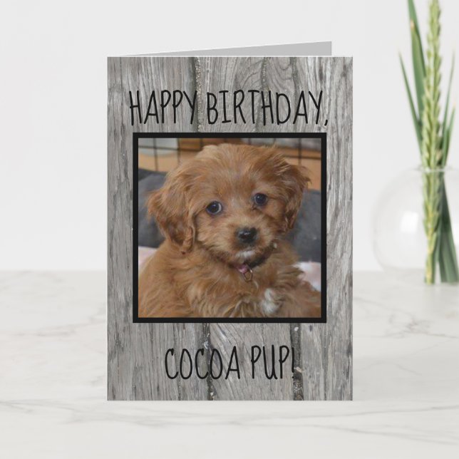 Unique Pet Birthday from Owner Photo Dog Cat Text Card (Front)