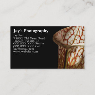 Unique Photography Business Cards