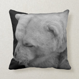 Unique Polar Bear Photo with Facts Cushion