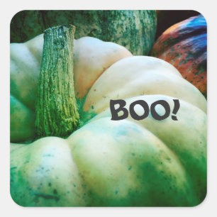 Unique pumpkins square sticker