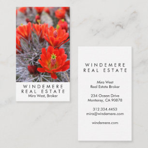 Unique Real Estate Agent Broker Red Cactus Blooms  Business Card