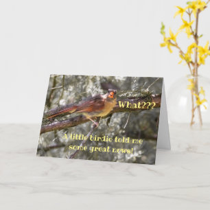 Unique Red Bird Baby Announcement Card