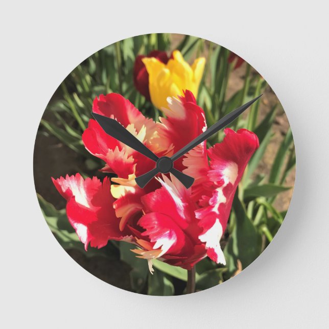 Unique Red & White Tulip Round Clock (Front)