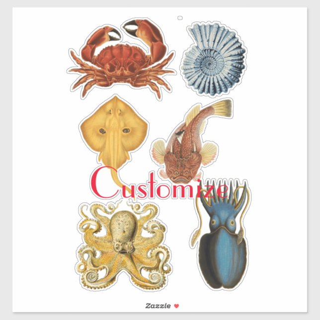 Unique Sea Beings Assortment Thunder_Cove (Sheet)