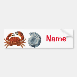 Unique Sea Beings Assortment Thunder_Cove Bumper Sticker
