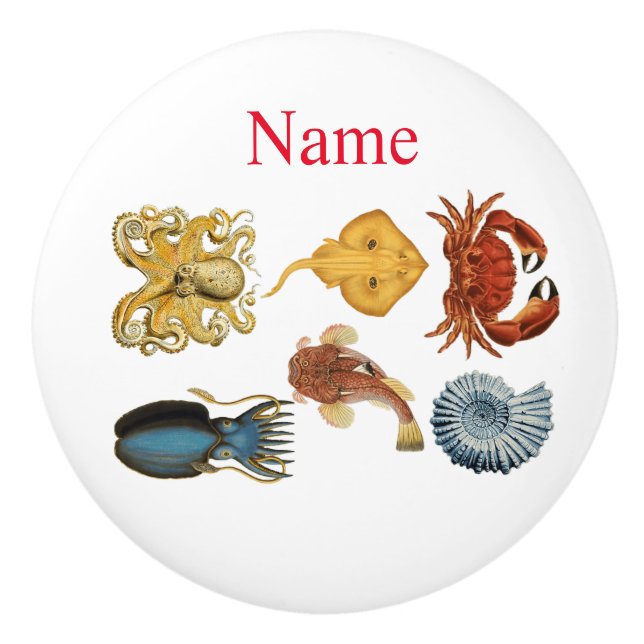 Unique Sea Beings Assortment Thunder_Cove Ceramic Knob (Front)