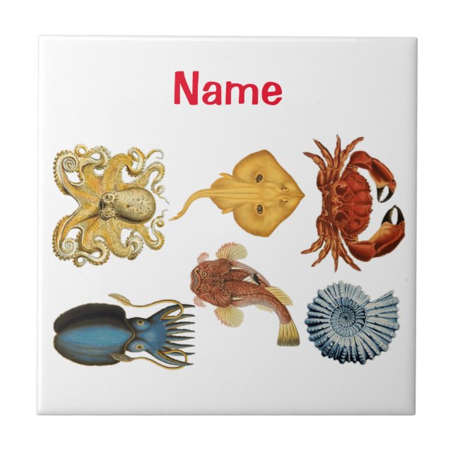 Unique Sea Beings Assortment Thunder_Cove  Ceramic Tile (Front)