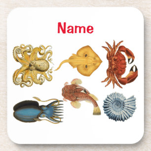 Unique Sea Beings Assortment Thunder_Cove Coaster