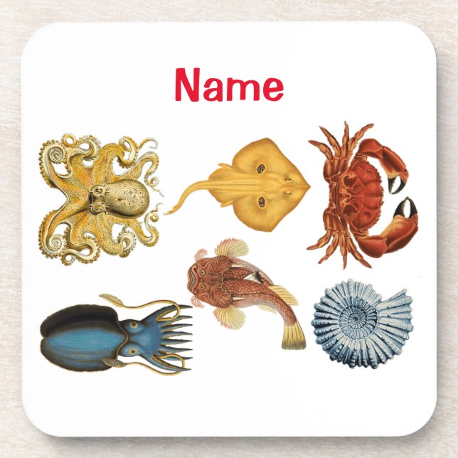 Unique Sea Beings Assortment Thunder_Cove  Coaster (Front)