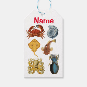 Unique Sea Beings Assortment Thunder_Cove Gift Tags
