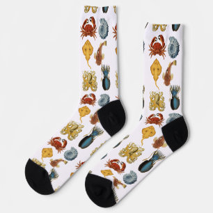 Unique Sea Beings Assortment Thunder_Cove Socks