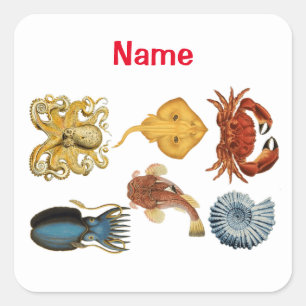 Unique Sea Beings Assortment Thunder_Cove Square Sticker