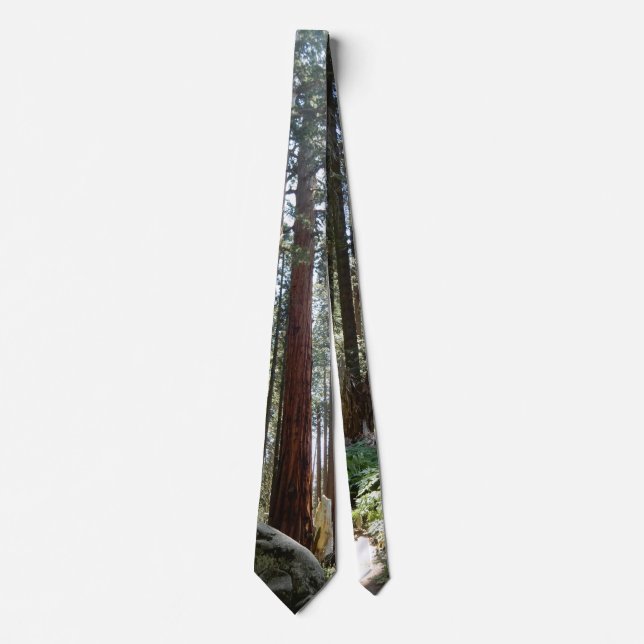 Unique Sequoia National Park Hiking Trail Tie (Front)