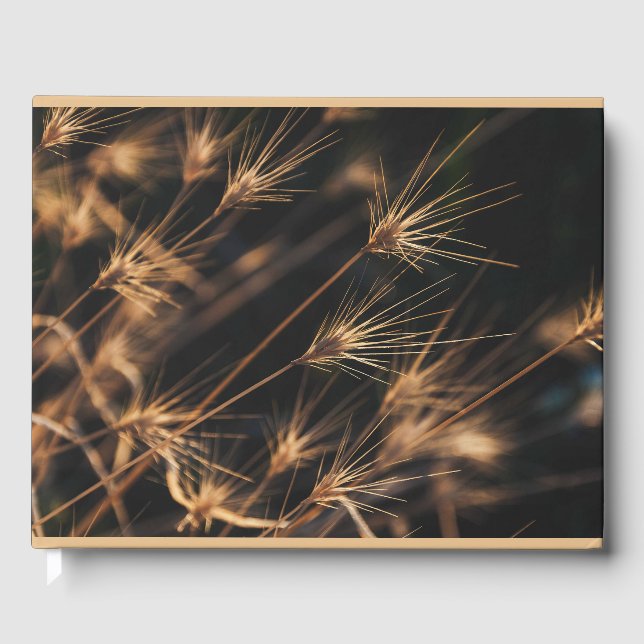 Unique Short Bursting Wild Grass Information  Guest Book (Front)