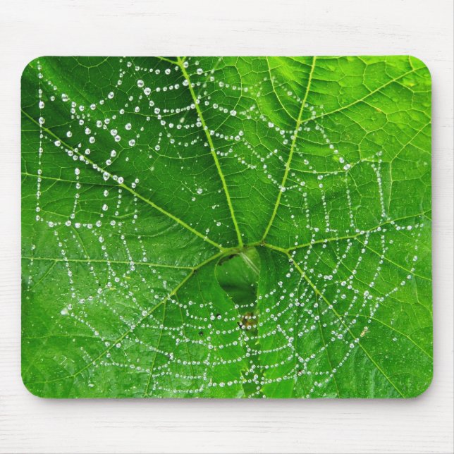 Unique Spiders Web Photo Designed Computer Mouse Pad (Front)
