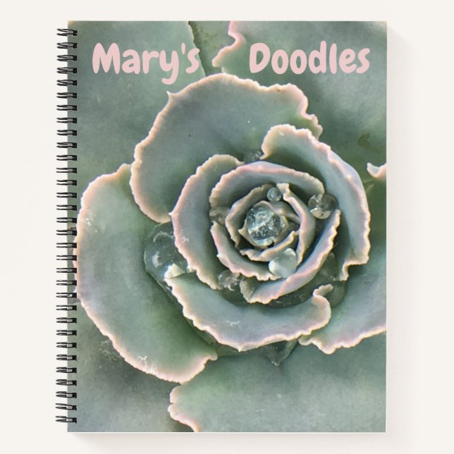Unique Succulent Sketchbook Notebook (Front)