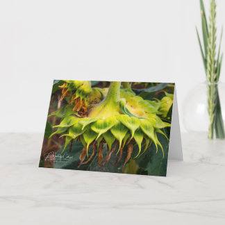 Unique Sunflower Card