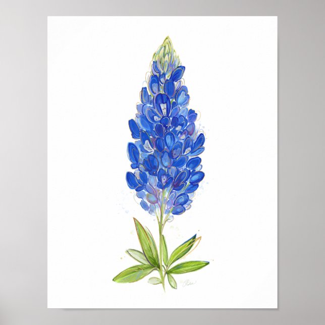 Unique Watercolor Texas Bluebonnet Art Poster (Front)