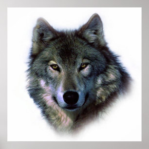 Unique Wolf Artwork Motivational Freedom Poster