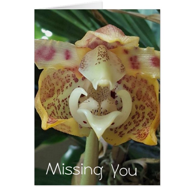 Unique Yellow Flower Missing You Card (Front)