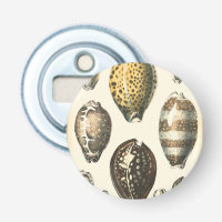 Uniquely Shaped Seashells