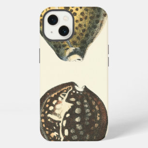 Uniquely Shaped Seashells iPhone Case