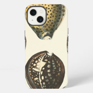 Uniquely Shaped Seashells iPhone Case