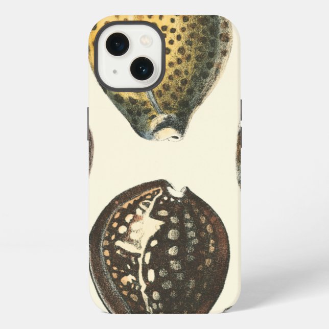 Uniquely Shaped Seashells iPhone Case (Back)