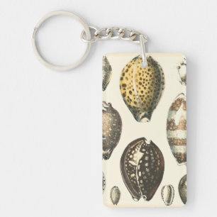 Uniquely Shaped Seashells Key Ring