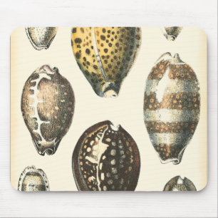 Uniquely Shaped Seashells Mouse Pad