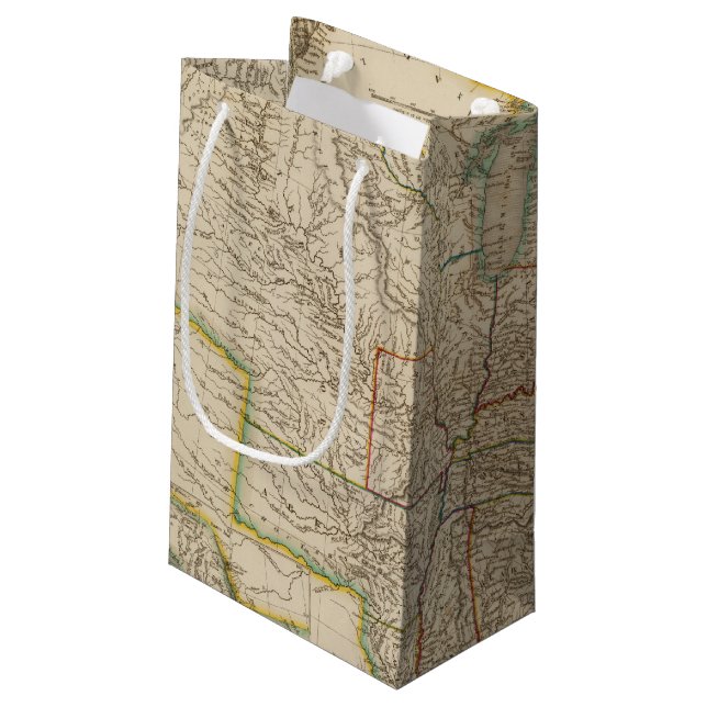 United States 12 Small Gift Bag (Back Angled)