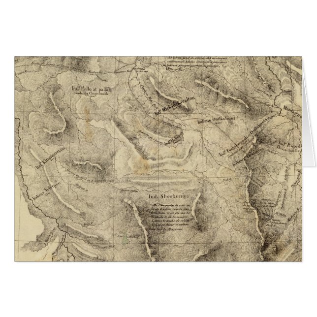 United States 39 (Front Horizontal)