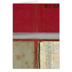 United States, Canada, Mexico, Central America