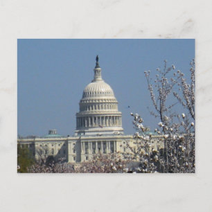 United States Capitol Building Washington DC 002 Postcard