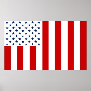 United States Civil Flag Sons of Liberty Variation Poster