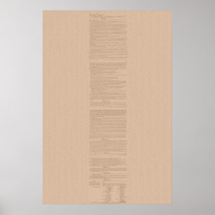 United States Constitution Poster
