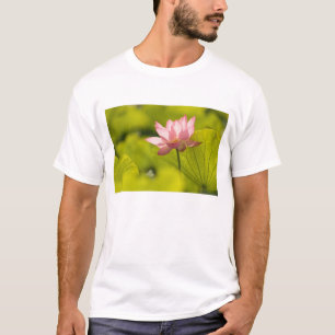 United States, DC, Washington, Kenilworth 2 T-Shirt