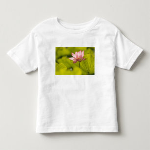 United States, DC, Washington, Kenilworth 2 Toddler T-Shirt
