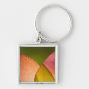 United States, DC, Washington, Kenilworth 3 Key Ring