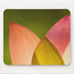 United States, DC, Washington, Kenilworth 3 Mouse Pad