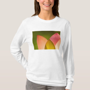 United States, DC, Washington, Kenilworth 3 T-Shirt