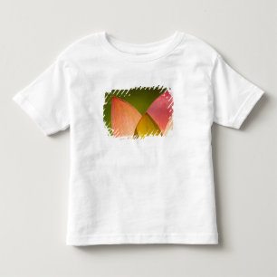United States, DC, Washington, Kenilworth 3 Toddler T-Shirt